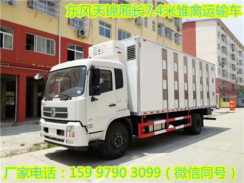 東風天錦廂長7.4米雛禽運輸車