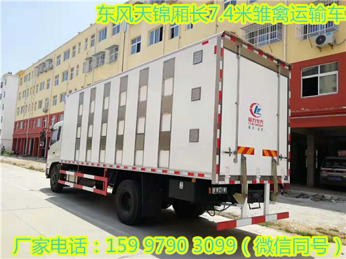 東風天錦廂長7.4米雛禽運輸車